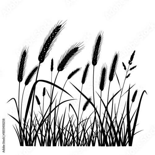 Silhouette of wheat and grass stalks in a field.