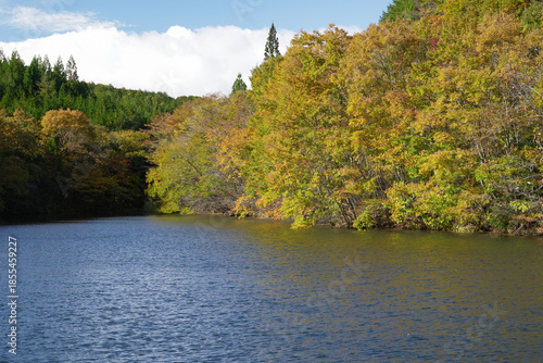 福島県_相馬市_東玉野の農業用溜池