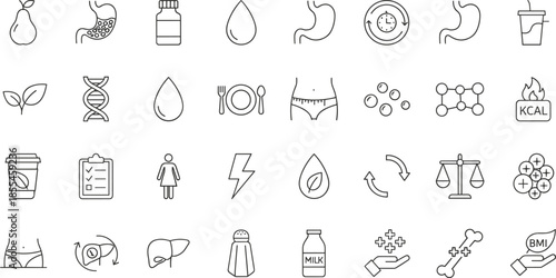Outline Vector Icon Set Representing Metabolic Health Nutrition Science Biological Wellness Dietary Planning and Human Anatomy Healthcare Concepts