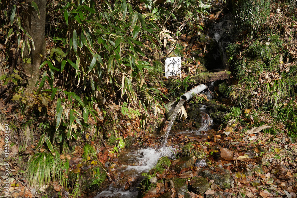 Obraz premium 岩手県_葛巻町江刈_外川川沿い