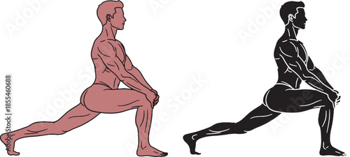 Male Lunge Exercise Fitness Anatomy Vector Illustration Side View on White Background