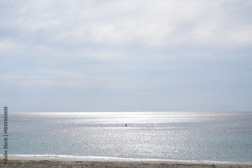 Obraz premium 宮城県_気仙沼市_大谷海水浴場