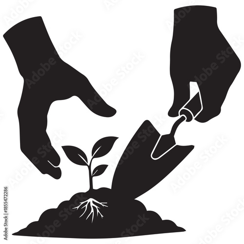Hands nurturing a young plant with a shovel in soil
