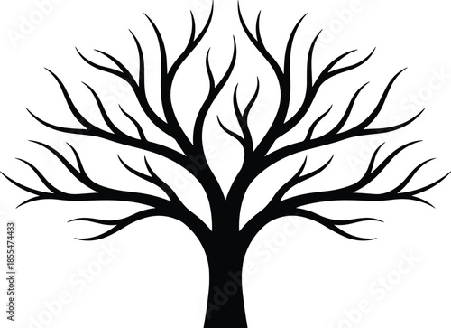 Black bare tree silhouette illustration with spreading branches, minimal nature design isolated on white background for modern graphic projects