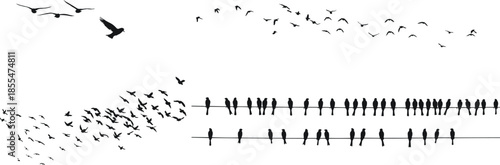 Bird silhouettes flock flying and perched on wires, minimalist nature illustration, black birds sky composition, freedom migration concept background design