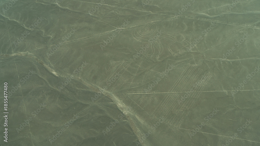 Obraz premium Unique Nazca geoglyphs in the desert. There are monkey drawings on the plateau, parallel lines. View from the plane. Peru.