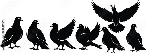 Flying pigeon silhouette, peace gesture, black bird, perched pigeons, white background, urban wildlife, creative pose, minimal design, vector, symbolic