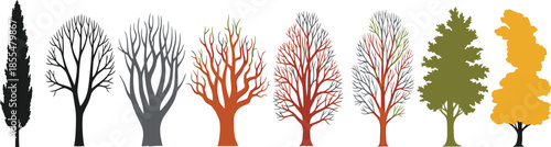 Seasonal Tree Progression Illustrations for Botanical Education, Nature-Inspired Design, and Environmental Awareness Projects