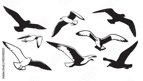 Illustration of various seagulls flying in different poses