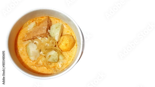 Lontong Sayur Indonesian Vegetables Stew with Coconut Milk, Rice Cakes, Egg, and Tofu Served in a White Bowl