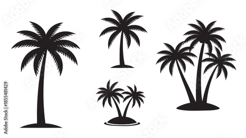 Tropical palm tree silhouettes isolated with transparent background