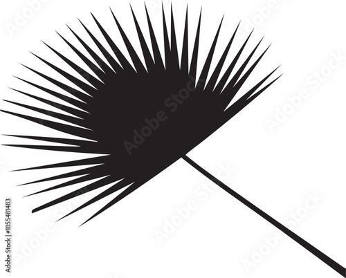 Elegant silhouette of a dramatically lit sabal palmetto leaf against a high contrast backdrop