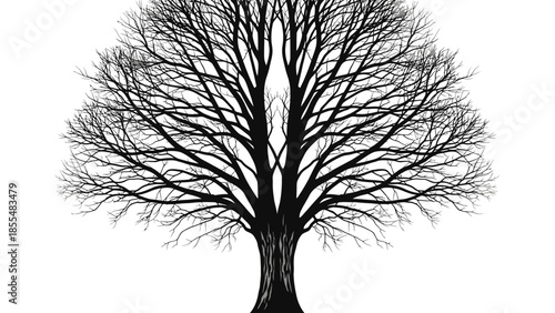 vector tree silhouette