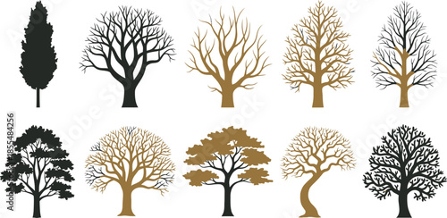 "Minimalist Winter Tree Silhouettes for Botanical Art, Seasonal Design, and Nature-Inspired Creative Projects