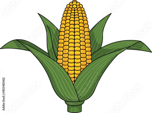 Fresh corn cob illustration, yellow maize vegetable with green leaves, flat vector farm food icon isolated on white background design