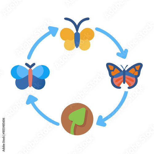 Butterfly life cycle illustration showing stages of transformation