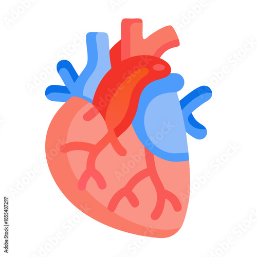 Simplified human heart diagram illustration on a black background