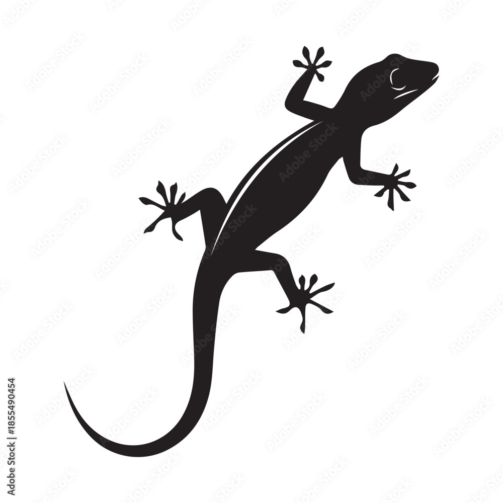 Fototapeta premium lizard on white background