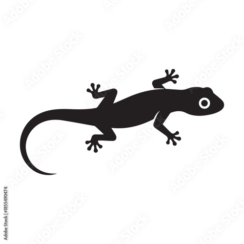 lizard on white silhouette vector 