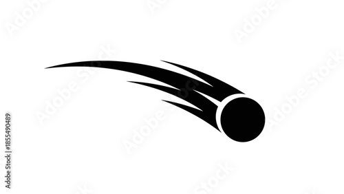 vector illustration of a silhouette of a bird