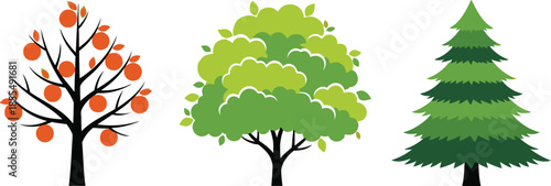 Stylized Tree Trio with Fruit, Foliage, and Evergreen Forms – Botanical Diversity Illustration for Seasonal and Species Design