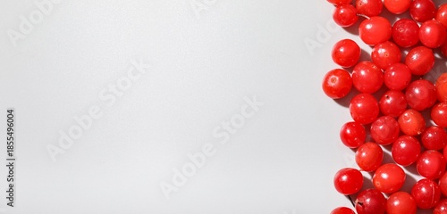 Many fresh viburnum berries on white background with space for text, closeup