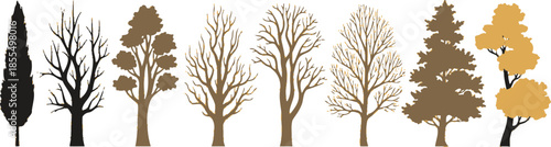 Stylized Tree Sequence in Varied Shapes and Foliage – Seasonal Nature Transition Illustration