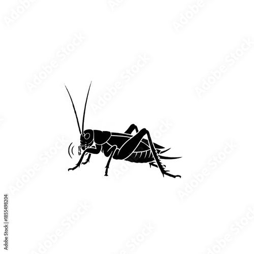Black Cricket Chirping Sound Illustration