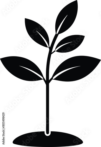 Black silhouette of a young seedling plant growing from the ground