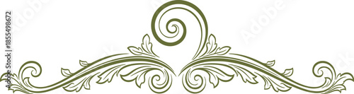 Elegant ornamental floral scroll divider vintage decorative element isolated white background classic baroque style vector illustration for branding design