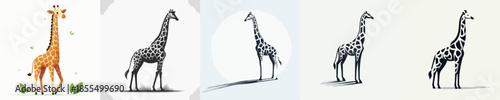 GIRAFFE VECTOR WHITE BACKGROUND