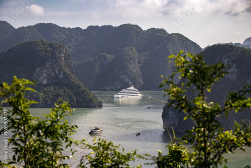 Boats in Vietnam's picturesque Ha Long Bay (Northeast Vietnam)