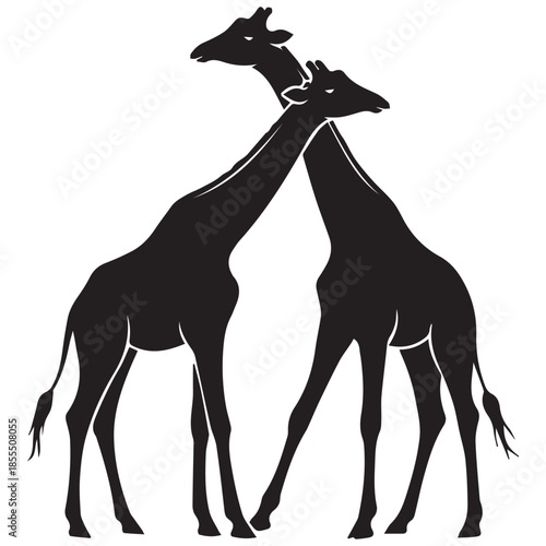 Two giraffes standing together in a tender moment