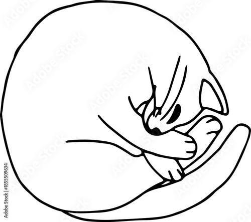 Cute happy cat lying curled up, top view, drawn with crooked grunge lines