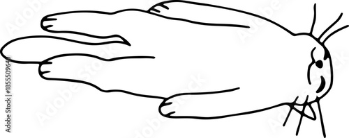 A funny happy cat lying on its back with its paws stretched out, drawn with crooked grunge lines