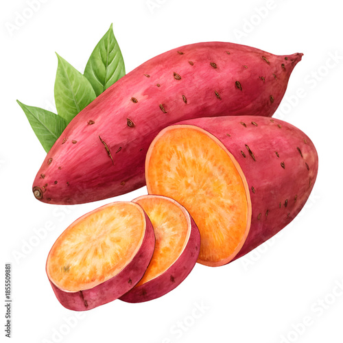 Whole and Sliced Sweet Potatoes with Green Leaves, Fresh Organic Vegetable on transparent background
