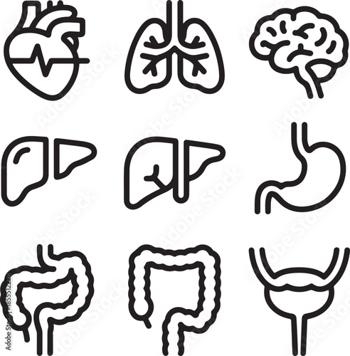 Set of Line Art Icons Representing Various Human Internal Organs