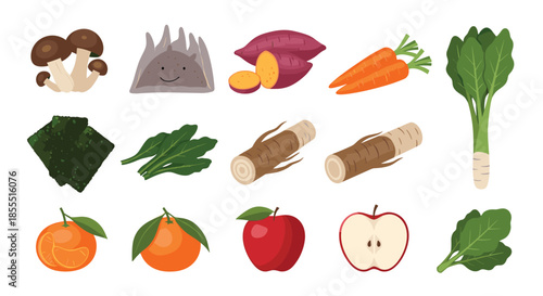 Illustrated collection of various fresh autumn and winter produce including fruits and vegetables on a clean white background.