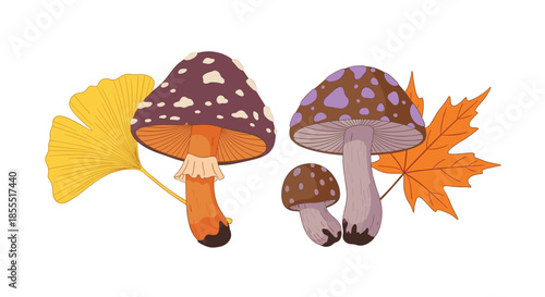 Whimsical illustration of various stylized autumn mushrooms standing together with colorful ginkgo and maple fall leaves.