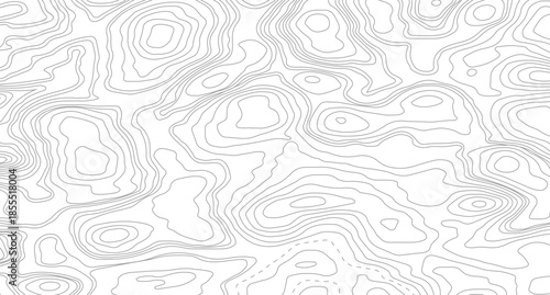 Vector geographic contour map. Background of the topographic map. Topographic map lines, contour background.
