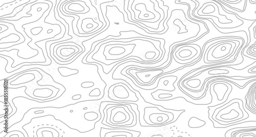 Vector geographic contour map. Background of the topographic map. Topographic map lines, contour background.
