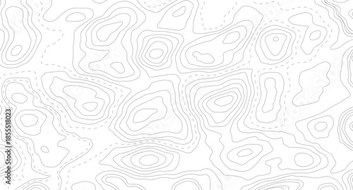 Vector geographic contour map. Background of the topographic map. Topographic map lines, contour background.

