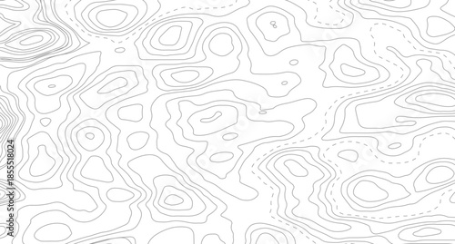 Topography background. Vector banner. Topography map background. Vector geographic contour map. Background of the topographic map.