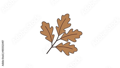 oak leaf isolated on white
