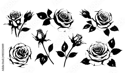 Romantic pink rose watercolor flower vector collection isolated on white background