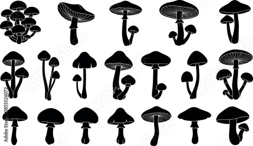 Black Silhouette Mushroom Set Isolated on White Background Minimalist Fungi Vector Icons for Nature Illustration Graphic Design and Autumnal Pattern Elements