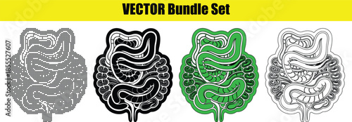 human intestine illustrations in different styles