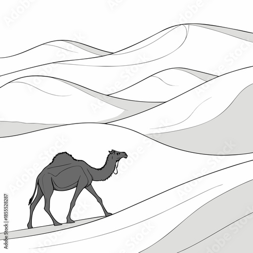 Gray camel walking on sand dunes desert monochrome