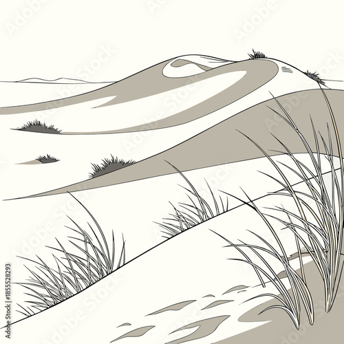 Minimal sand dunes partially covered with snow pattern