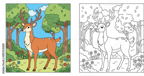 Cartoon deer in forest coloring page vector illustration. Cute animal character in woodland. Split screen showing colored version and black and white outline for kids activity book.